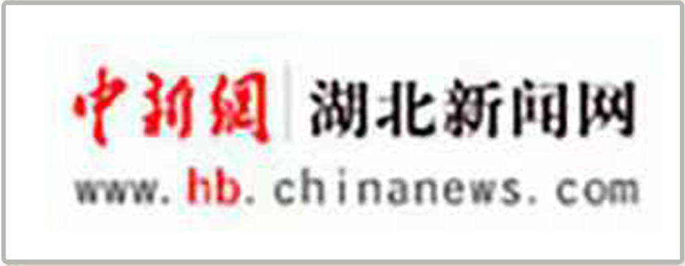 湖北新闻网
